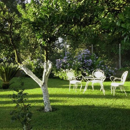 Casa Malu Boutique Apartments - No 1 Gouvia Ngoại thất bức ảnh