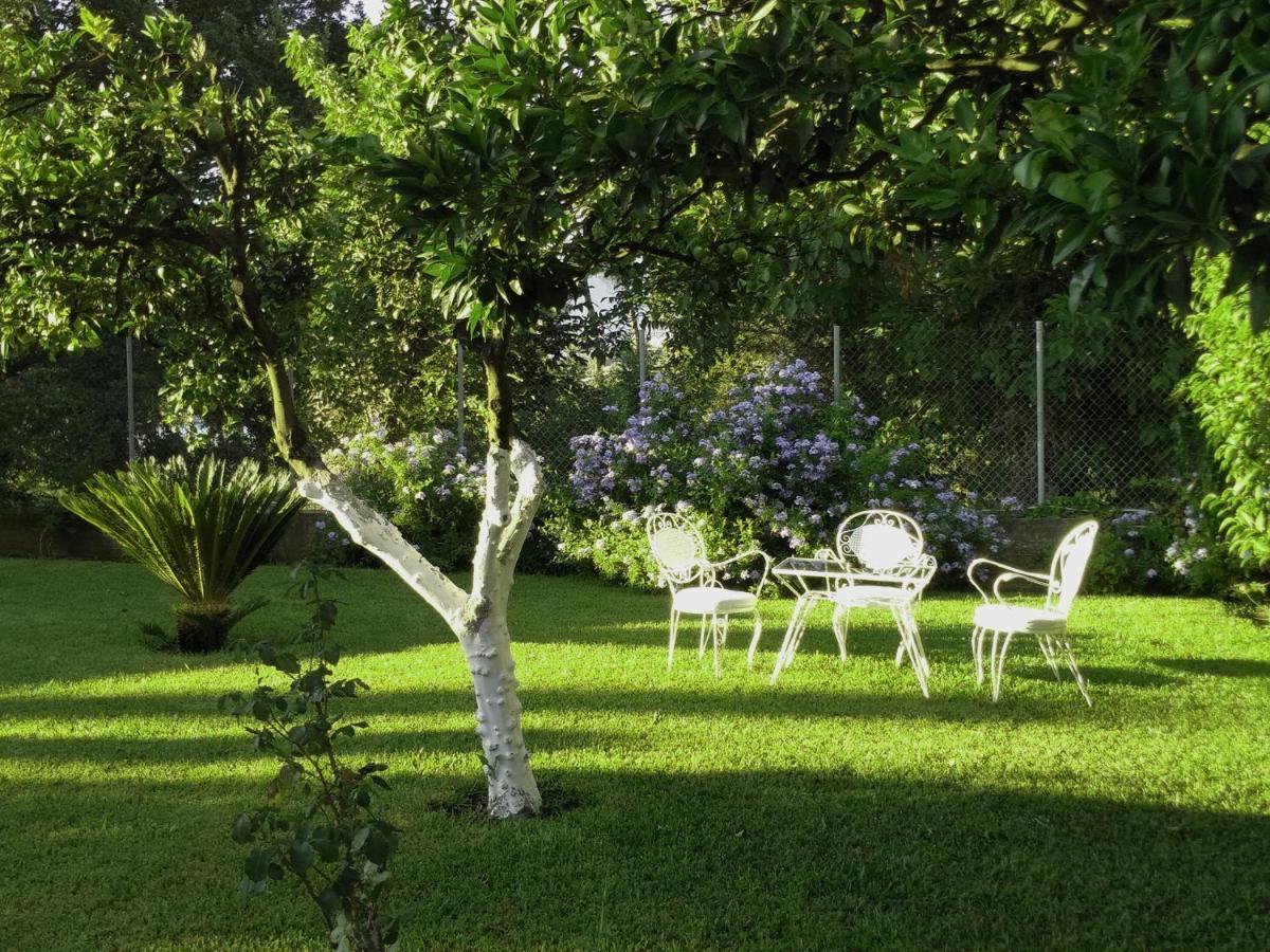 Casa Malu Boutique Apartments - No 1 Gouvia Ngoại thất bức ảnh
