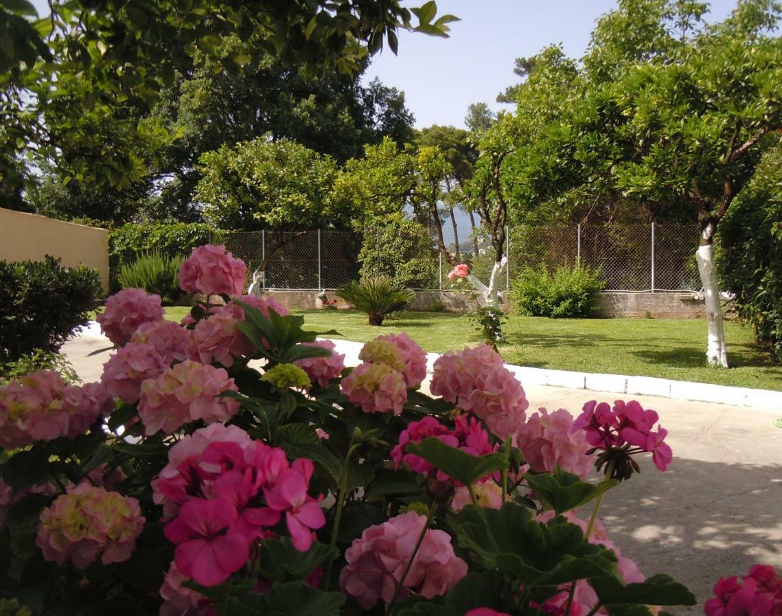 Casa Malu Boutique Apartments - No 1 Gouvia Ngoại thất bức ảnh